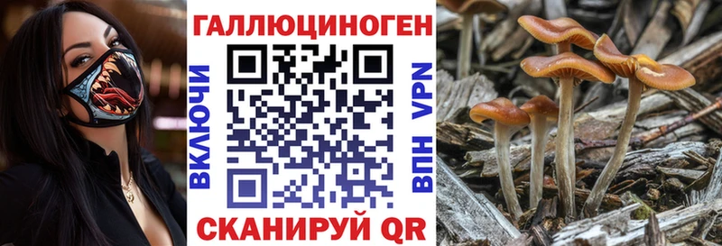 Галлюциногенные грибы прущие грибы  купить наркоту  Оленегорск 